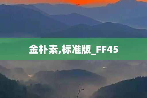 金朴素,标准版_FF45