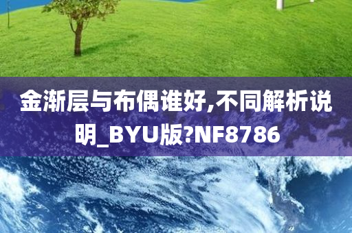 金渐层与布偶谁好,不同解析说明_BYU版?NF8786