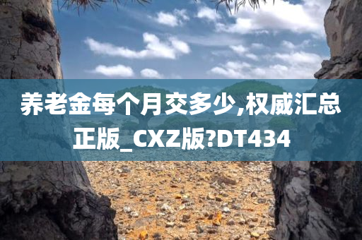 养老金每个月交多少,权威汇总正版_CXZ版?DT434