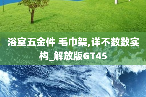 浴室五金件 毛巾架,详不数数实构_解放版GT45