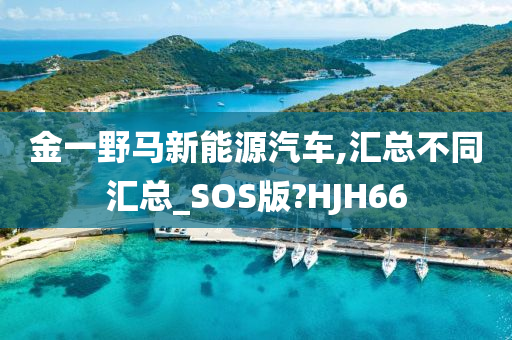 金一野马新能源汽车,汇总不同汇总_SOS版?HJH66