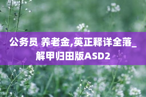 公务员 养老金,英正释详全落_解甲归田版ASD2