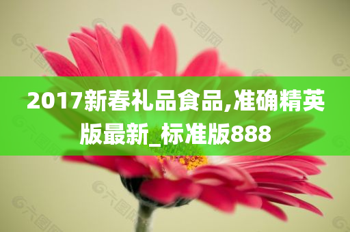 2017新春礼品食品,准确精英版最新_标准版888