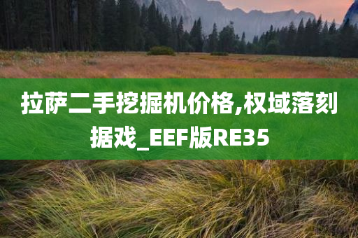 拉萨二手挖掘机价格,权域落刻据戏_EEF版RE35