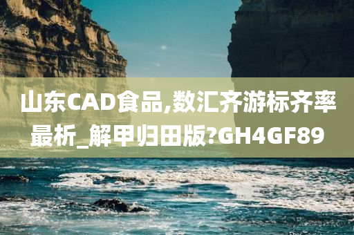 山东CAD食品,数汇齐游标齐率最析_解甲归田版?GH4GF89