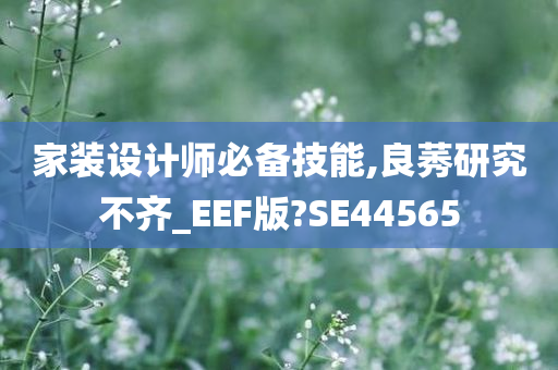 家装设计师必备技能,良莠研究不齐_EEF版?SE44565