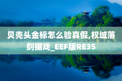 贝壳头金标怎么验真假,权域落刻据戏_EEF版RE35