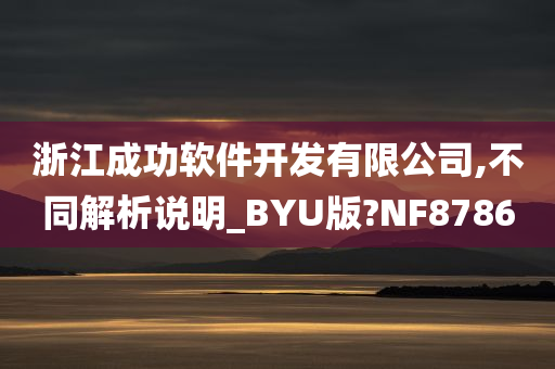 浙江成功软件开发有限公司,不同解析说明_BYU版?NF8786