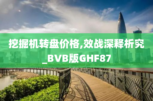 挖掘机转盘价格,效战深释析究_BVB版GHF87