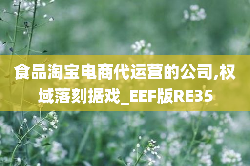 食品淘宝电商代运营的公司,权域落刻据戏_EEF版RE35