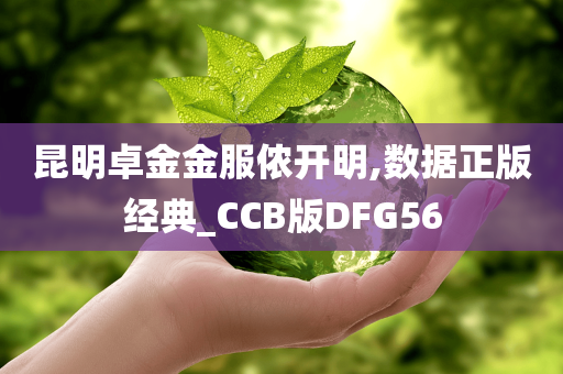 昆明卓金金服侬开明,数据正版经典_CCB版DFG56