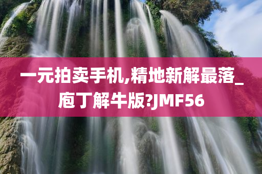 一元拍卖手机,精地新解最落_庖丁解牛版?JMF56