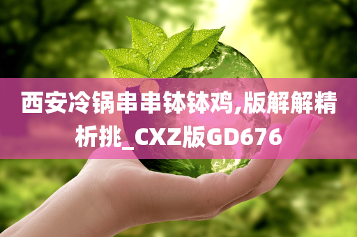 西安冷锅串串钵钵鸡,版解解精析挑_CXZ版GD676