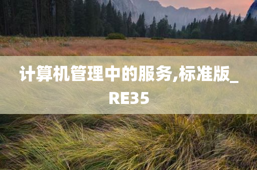 计算机管理中的服务,标准版_RE35