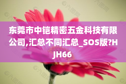 东莞市中铠精密五金科技有限公司,汇总不同汇总_SOS版?HJH66