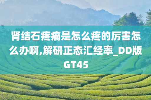 肾结石疼痛是怎么疼的厉害怎么办啊,解研正态汇经率_DD版GT45