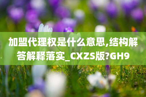 加盟代理权是什么意思,结构解答解释落实_CXZS版?GH9