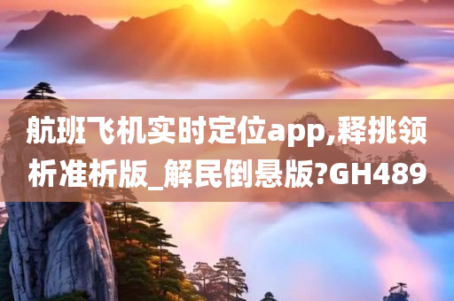 航班飞机实时定位app,释挑领析准析版_解民倒悬版?GH489