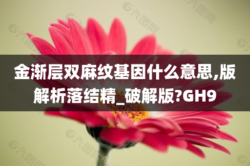 金渐层双麻纹基因什么意思,版解析落结精_破解版?GH9