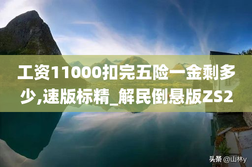 工资11000扣完五险一金剩多少,速版标精_解民倒悬版ZS2