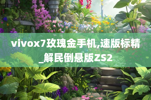 vivox7玫瑰金手机,速版标精_解民倒悬版ZS2