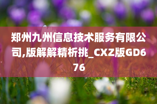 郑州九州信息技术服务有限公司,版解解精析挑_CXZ版GD676