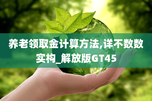 养老领取金计算方法,详不数数实构_解放版GT45