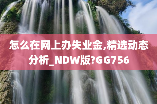 怎么在网上办失业金,精选动态分析_NDW版?GG756