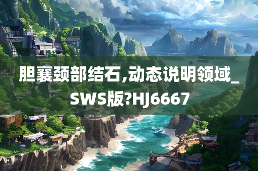 胆襄颈部结石,动态说明领域_SWS版?HJ6667