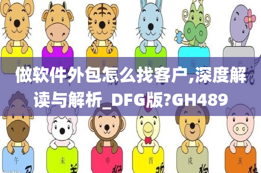 做软件外包怎么找客户,深度解读与解析_DFG版?GH489