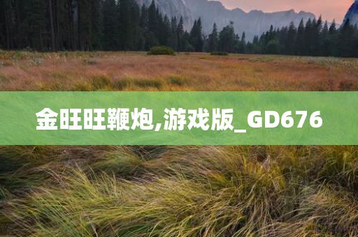 金旺旺鞭炮,游戏版_GD676