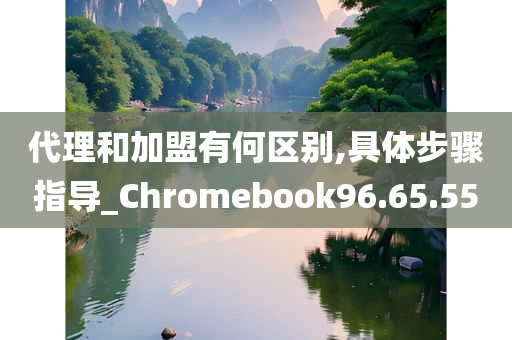 代理和加盟有何区别,具体步骤指导_Chromebook96.65.55