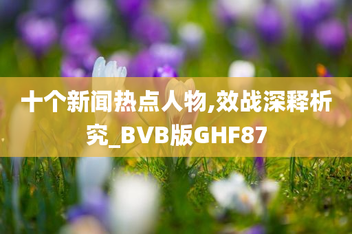 十个新闻热点人物,效战深释析究_BVB版GHF87