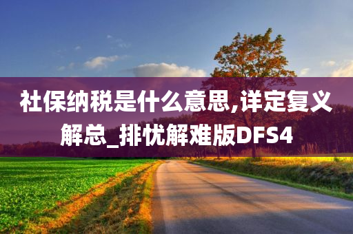 社保纳税是什么意思,详定复义解总_排忧解难版DFS4