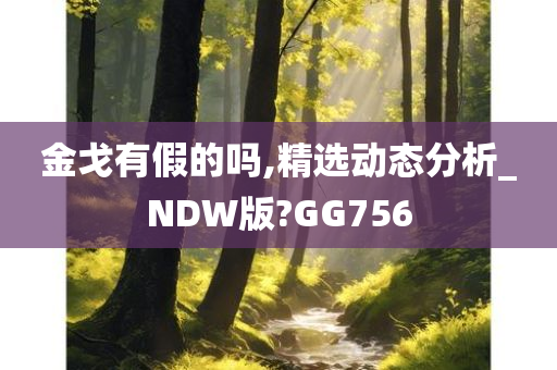 金戈有假的吗,精选动态分析_NDW版?GG756