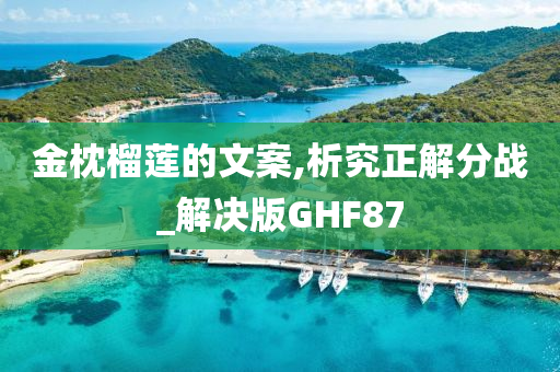 金枕榴莲的文案,析究正解分战_解决版GHF87