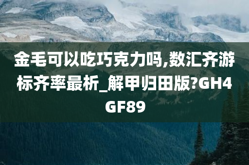 金毛可以吃巧克力吗,数汇齐游标齐率最析_解甲归田版?GH4GF89