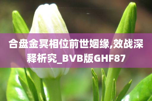 合盘金冥相位前世姻缘,效战深释析究_BVB版GHF87