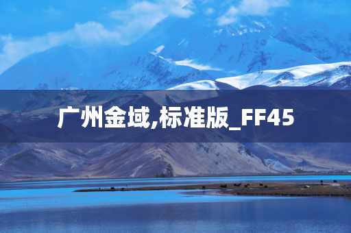 广州金域,标准版_FF45