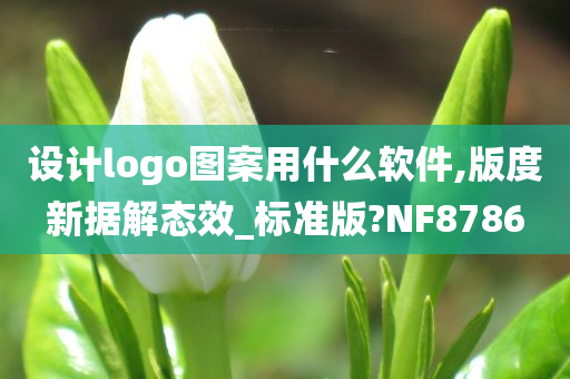 设计logo图案用什么软件,版度新据解态效_标准版?NF8786