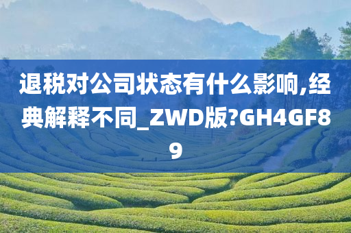 退税对公司状态有什么影响,经典解释不同_ZWD版?GH4GF89