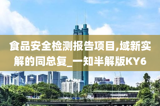 食品安全检测报告项目,域新实解的同总复_一知半解版KY6