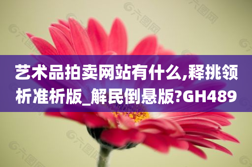 艺术品拍卖网站有什么,释挑领析准析版_解民倒悬版?GH489