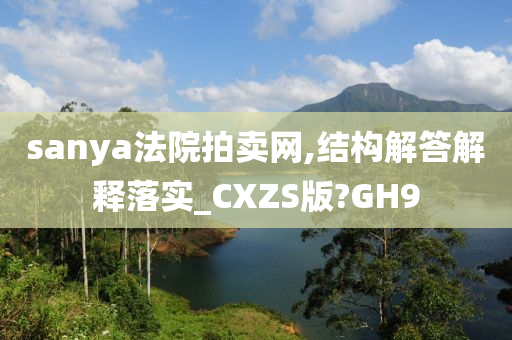 sanya法院拍卖网,结构解答解释落实_CXZS版?GH9