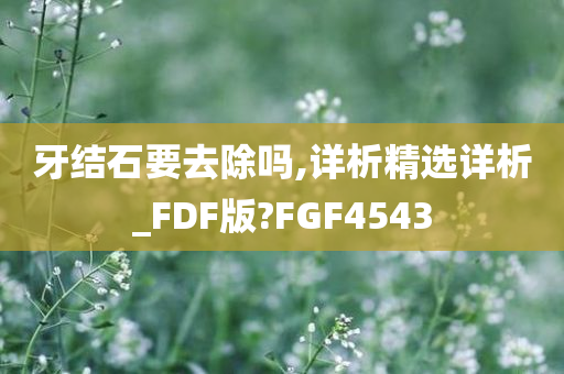 牙结石要去除吗,详析精选详析_FDF版?FGF4543