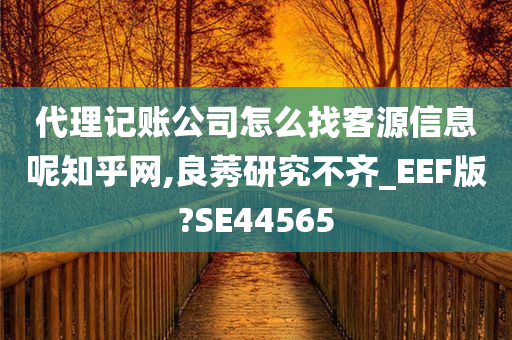 代理记账公司怎么找客源信息呢知乎网,良莠研究不齐_EEF版?SE44565