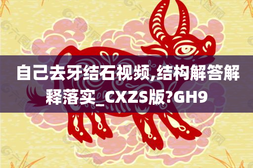 自己去牙结石视频,结构解答解释落实_CXZS版?GH9