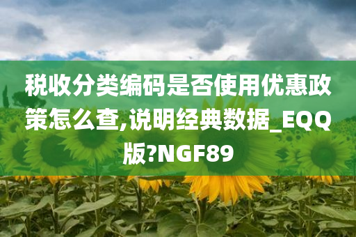 税收分类编码是否使用优惠政策怎么查,说明经典数据_EQQ版?NGF89