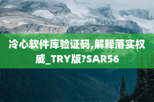 冷心软件库验证码,解释落实权威_TRY版?SAR56