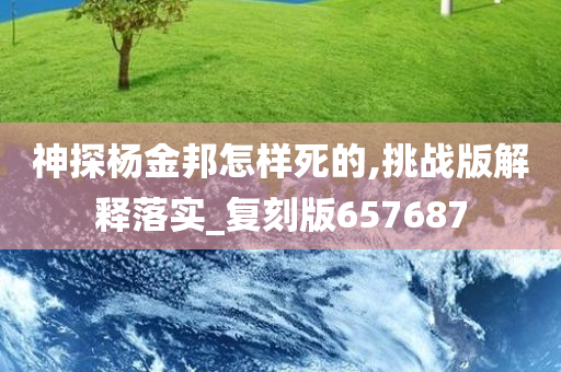 神探杨金邦怎样死的,挑战版解释落实_复刻版657687